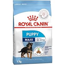 Amazon.co.jp: ロイヤルカナン SHNマキシパピー大型犬子犬用 16kg